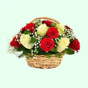 25-Red-and-White-Roses