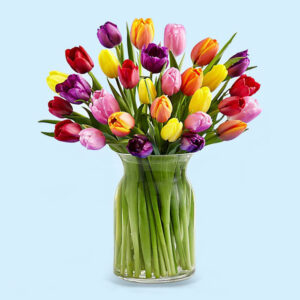 Mixed-Tulips-Vase