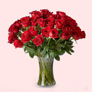 Red-Roses-Vase