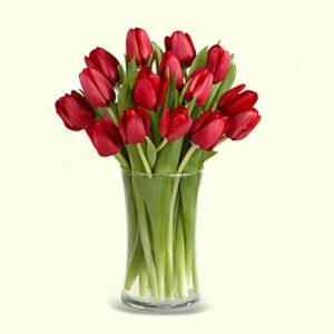 Red-Tulips-Vase