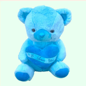 Blue Teddy Bear