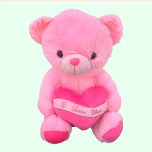 Pink Teddy Bear