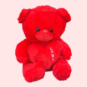 Red Teddy Bear